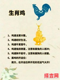 1969年属鸡人一生桃花运次数解析，生肖运势大揭秘-第1张图片