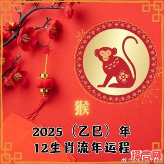 2025年李基明十二生肖运程解析：属相运势大揭秘-第1张图片