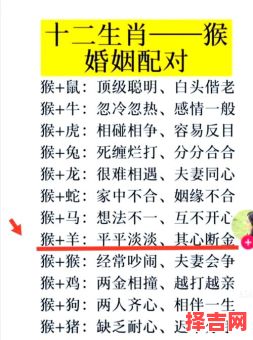 猴与什么属相最配？揭秘生肖猴最佳婚配属相-第1张图片