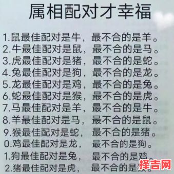 猴和什么属相最配？揭秘生肖猴的最佳婚配属相-第1张图片