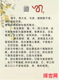 鼠和什么属相最配？生肖鼠最佳婚配属相解析-第1张图片