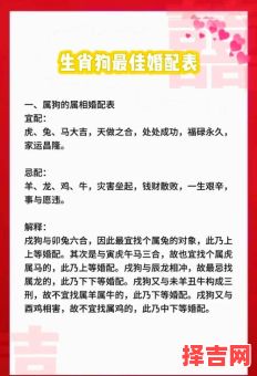 属狗的最佳婚配属相解析，属狗和什么属相最配婚姻幸福-第1张图片