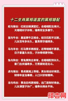 羊和什么属相最配？十二生肖婚配宜忌全解析-第1张图片