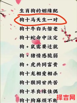 属狗的最佳婚配属相揭秘，生肖配对解析与运势指南-第1张图片