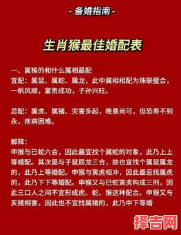 属猴的最佳婚配属相，属猴人配对运势解析-第1张图片