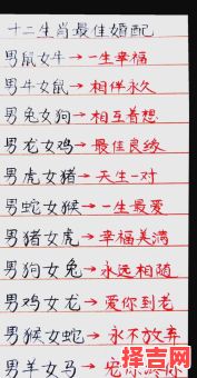 牛年出生的人和什么属相最配？生肖配对最佳组合解析-第1张图片