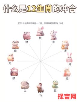 属鼠的和什么属相最配？12生肖婚配最佳组合解析-第1张图片