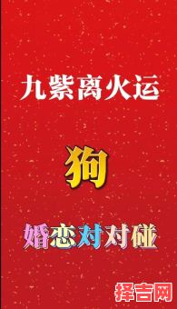女狗最佳婚配属相揭秘，生肖配对幸福指南-第1张图片