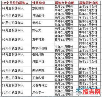 属狗的最佳婚配属相揭秘，这些生肖最合拍-第1张图片