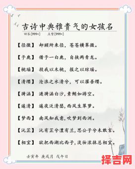 何雅婷名字含义解析 - 优雅与美好的寓意-第1张图片