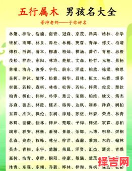 男宝带木字名字大全2025最新版，寓意吉祥又好听-第1张图片