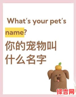 30个超可爱的宠物名字推荐，萌翻你的小宝贝！-第1张图片