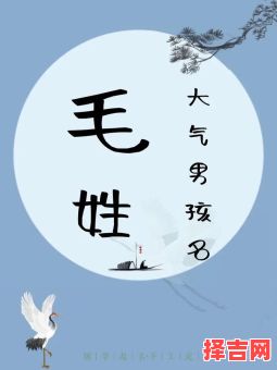 毛姓男孩取名大全：好听有寓意的男宝宝名字推荐-第1张图片