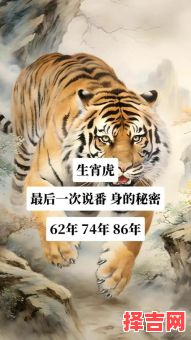 2025男虎开业吉日 11月属虎开业好日子 2025年11月属虎开业吉日查询-第1张图片